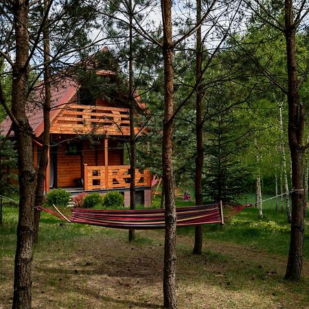 Borowa Chatka Borowy Mlyn Exterior photo